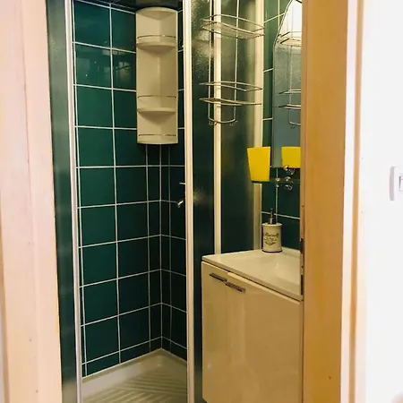 Studio Delmonte Apartment Rovinj